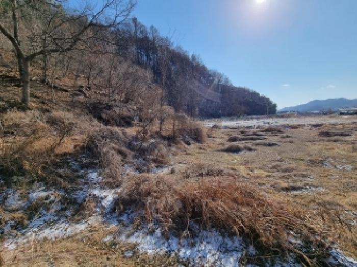 2026타경600042 법원경매 사진18 | 충남 금산군 대지,임야,전답 경매