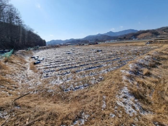2026타경600042 법원경매 사진19 | 충남 금산군 대지,임야,전답 경매