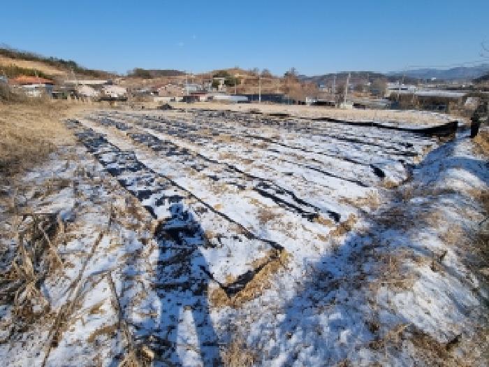 충청남도 금산군 남일면 황풍리 124-28 법원경매 물건 대표사진