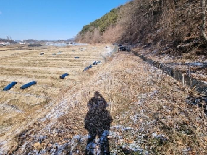 2026타경600042 법원경매 사진16 | 충남 금산군 대지,임야,전답 경매