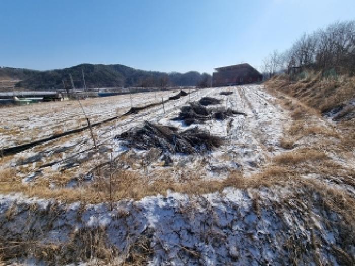 2026타경600042 법원경매 사진3 | 충남 금산군 대지,임야,전답 경매