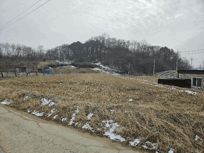 충청남도 금산군 금성면 두곡리 339-1 법원경매 물건 대표사진