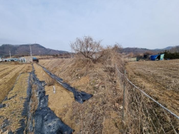 2026타경600144 법원경매 사진16 | 충남 금산군 답 경매