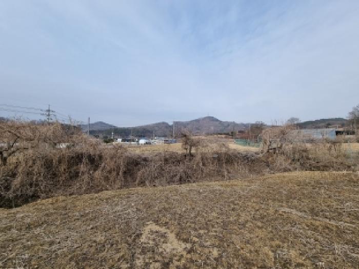 2026타경600144 법원경매 사진18 | 충남 금산군 답 경매