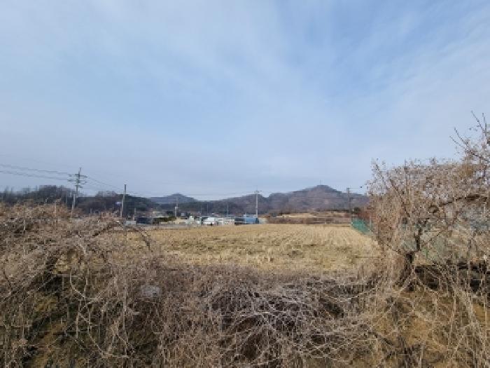 2026타경600144 법원경매 사진19 | 충남 금산군 답 경매