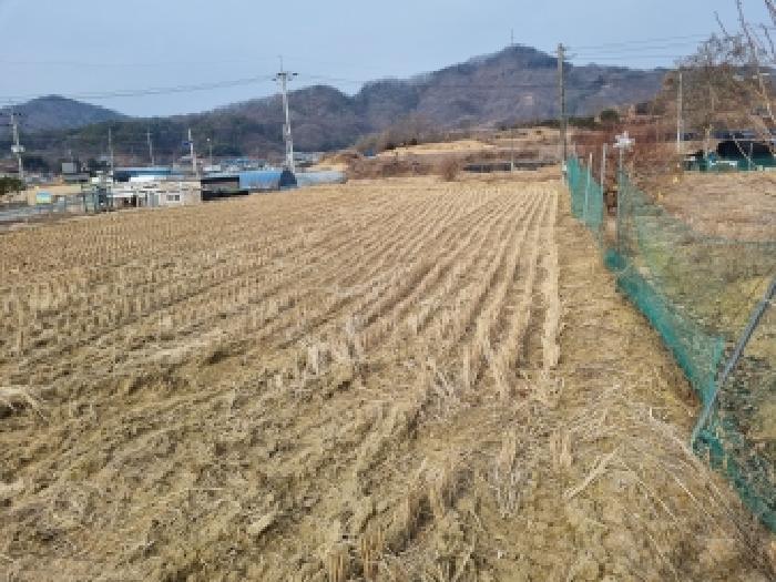 2026타경600144 법원경매 사진20 | 충남 금산군 답 경매