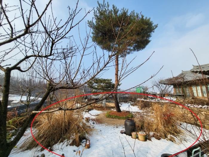법원경매 2024타경57109 사진5 | 김포시 대곶면 신안리 109-22 기타 경매