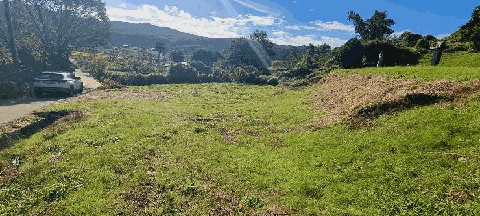 2025타경51823 법원경매 사진6 | 청주 상당구 대지 경매