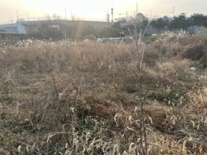 충북 증평군 증평읍 초중리 344-1 답 경매 물건 사진