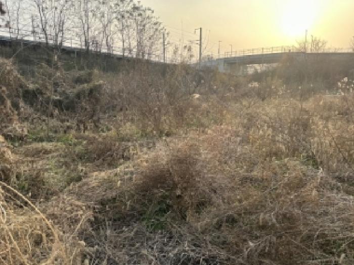 충북 증평군 증평읍 초중리 344-1 답 사진 2