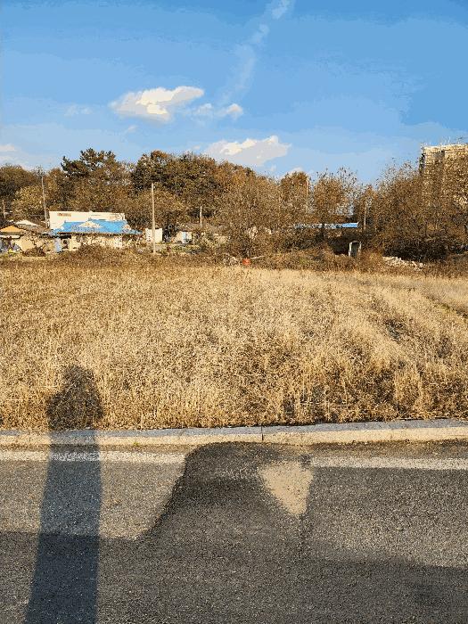 2025타경52006 법원경매 사진3 | 청주 흥덕구 주택건물 경매