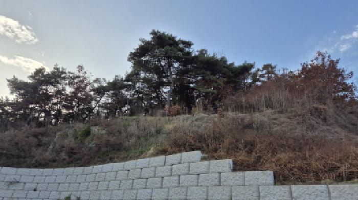 2025타경73407 법원경매 사진5 | 경기 포천시 임야 경매