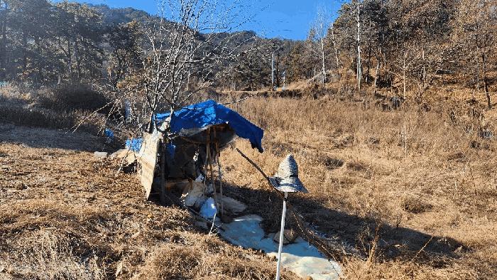 2025타경4035 법원경매 사진3 | 대전 중구 임야 경매