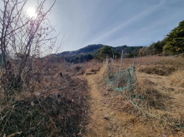 2025타경4035 법원경매 사진5 | 대전 중구 임야 경매