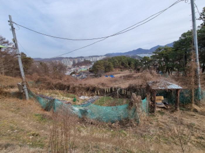 2025타경4035 법원경매 사진6 | 대전 중구 임야 경매