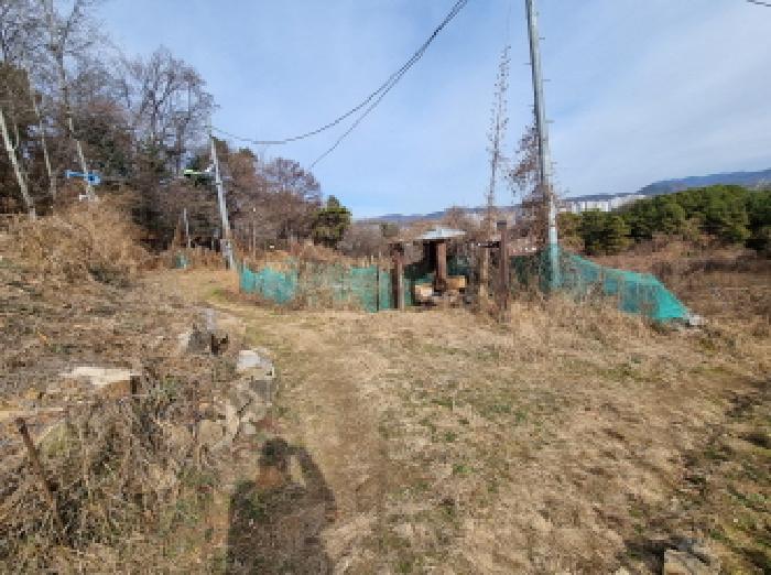 2025타경4035 법원경매 사진7 | 대전 중구 임야 경매