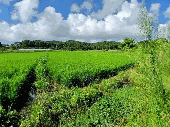경기도 안산시 단원구 대부남동 1066-50 법원경매 물건 대표사진