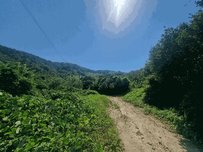 경상남도 김해시 진영읍 진영리 산58 법원경매 물건 대표사진