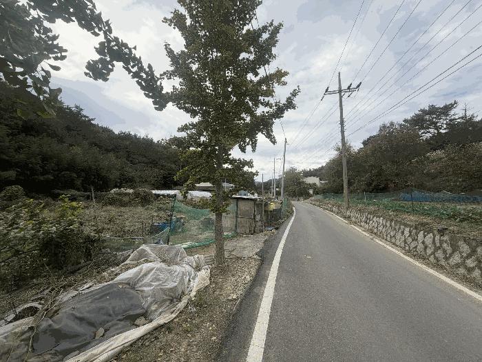 2025타경316 법원경매 사진2 | 창원 마산합포구 임야 경매
