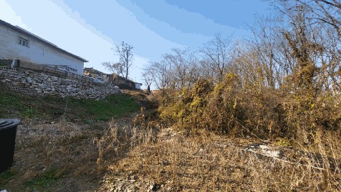 2025타경20975 법원경매 사진2 | 경남 함안군 대지,임야,전답 경매