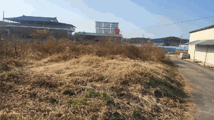 2025타경20975 법원경매 사진3 | 경남 함안군 대지,임야,전답 경매
