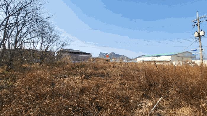 2025타경20975 법원경매 사진6 | 경남 함안군 대지,임야,전답 경매