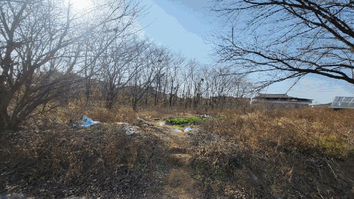 2025타경20975 법원경매 사진7 | 경남 함안군 대지,임야,전답 경매