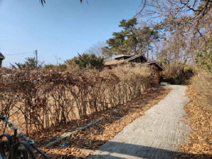 2025타경746 법원경매 사진12 | 인천 강화군 주택건물 경매
