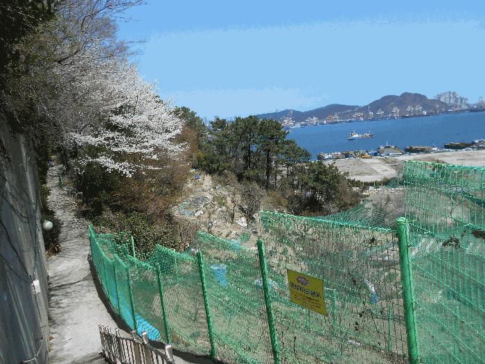 2025타경21663 법원경매 사진4 | 부산 영도구 대지,임야,전답 경매