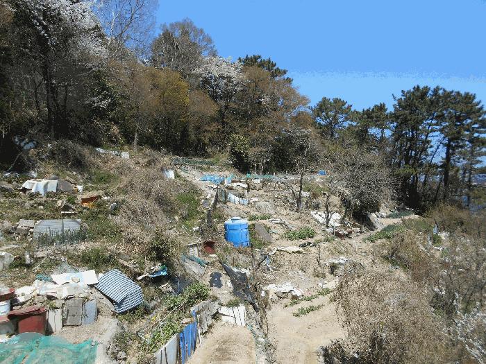 2025타경21663 법원경매 사진5 | 부산 영도구 대지,임야,전답 경매