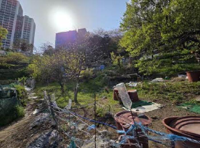 2025타경21663 법원경매 사진9 | 부산 영도구 대지,임야,전답 경매