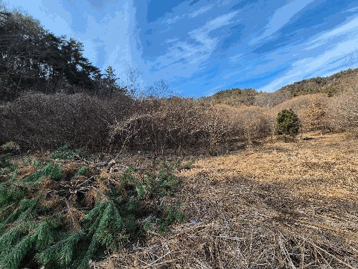 경남 창원시 마산합포구 진동면 다구리 168 답 경매 물건 사진