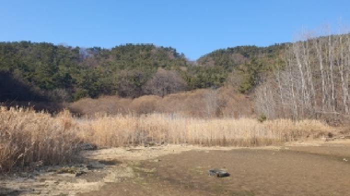 경남 창원시 마산합포구 진동면 다구리 168 답 사진 6
