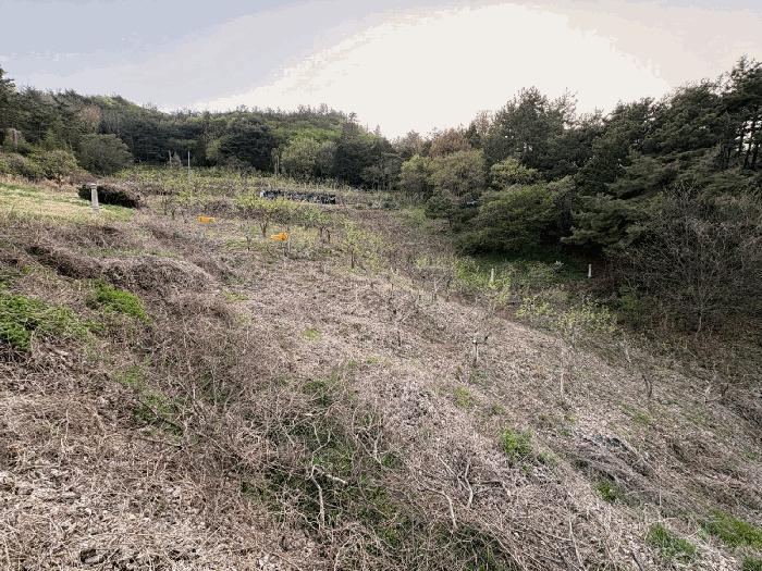 2025타경2291 법원경매 사진2 | 전남 나주시 임야 경매