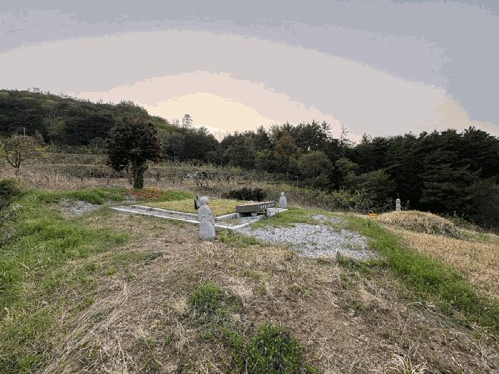 2025타경2291 법원경매 사진3 | 전남 나주시 임야 경매