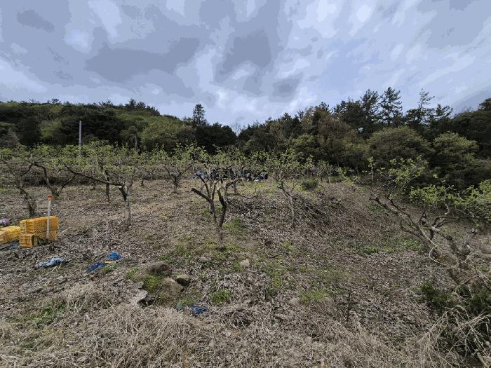 2025타경2291 법원경매 사진5 | 전남 나주시 임야 경매