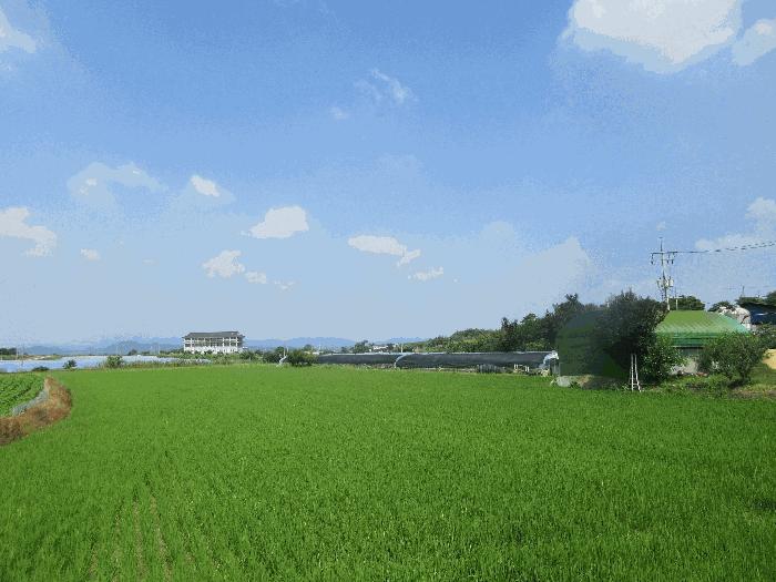 전남 나주시 산포면 내기리 626-1 전 경매 물건 사진