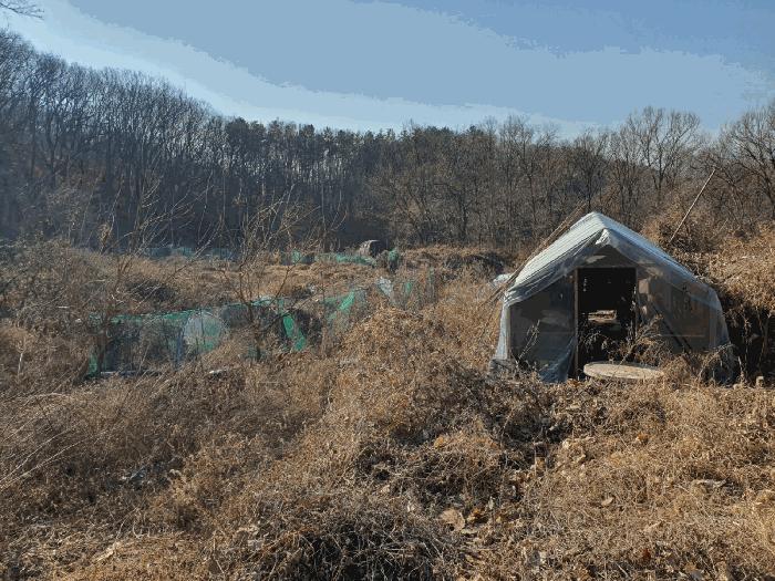 법원경매 2025타경5157 사진2 | 성남시 분당구 율동 168 전 경매