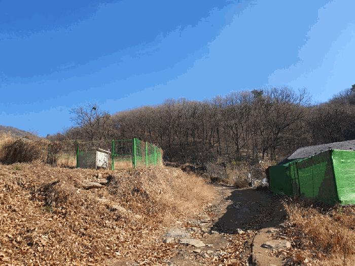 법원경매 2025타경5157 사진6 | 성남시 분당구 율동 168 전 경매