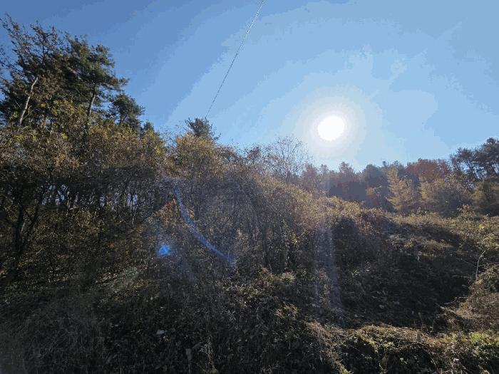 법원경매 2025타경50930 사진10 | 홍천군 서면 반곡리 501-3 임야 경매