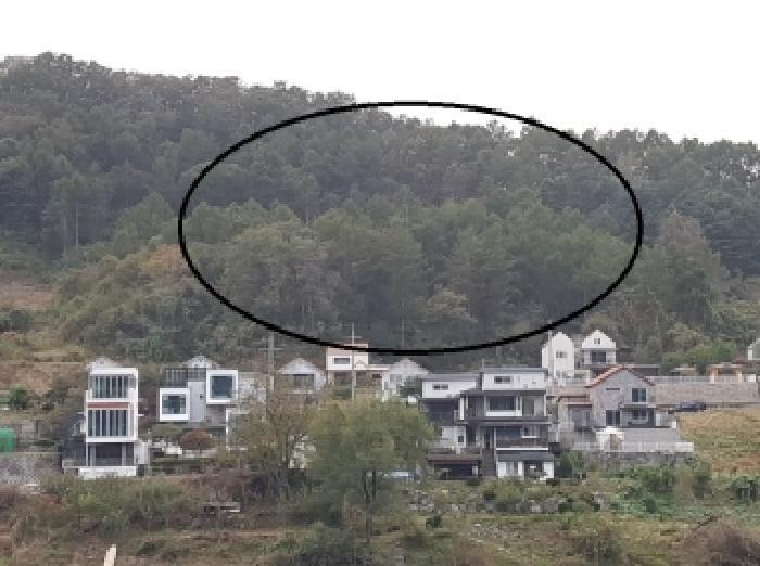 법원경매 2025타경50944 사진4 | 홍천군 북방면 노일리 819-7 임야 경매