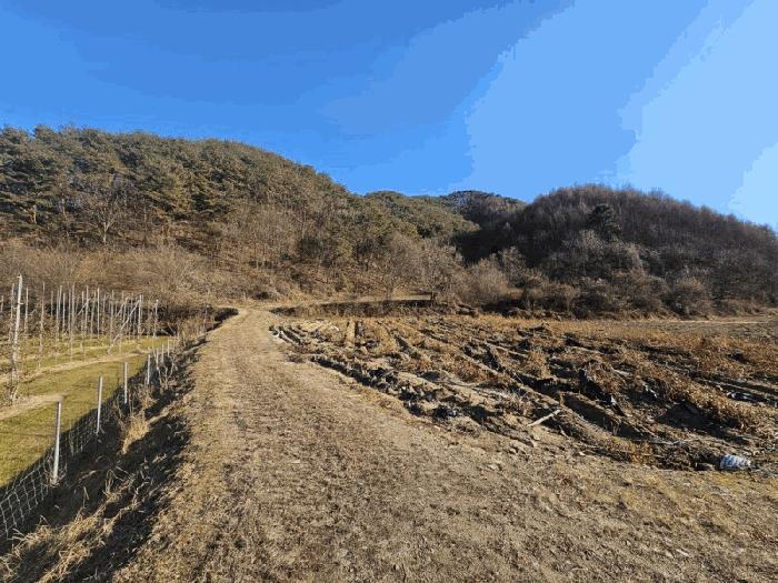 강원특별자치도 홍천군 영귀미면 속초리 274-2 법원경매 물건 대표사진