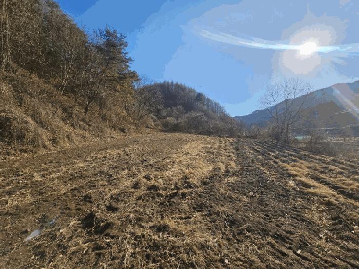 법원경매 2025타경50954 사진2 | 홍천군 영귀미면 속초리 274-2 전 경매