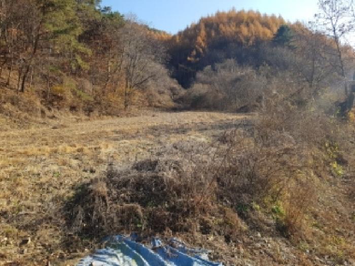 법원경매 2025타경50954 사진3 | 홍천군 영귀미면 속초리 274-2 전 경매