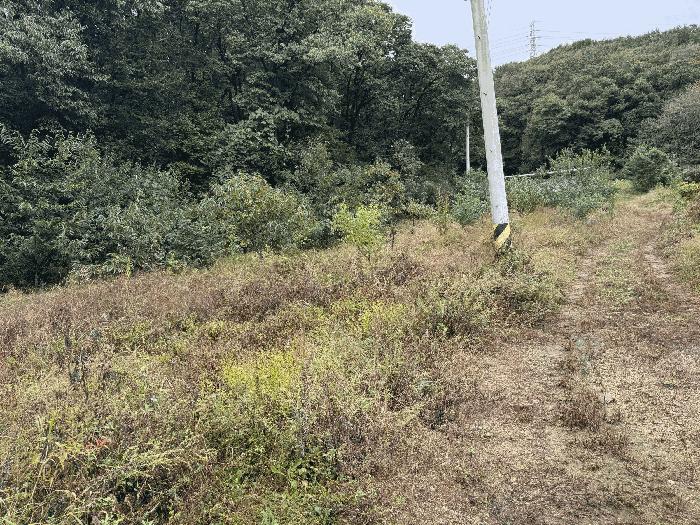 경기도 성남시 분당구 대장동 364-1 법원경매 물건 대표사진