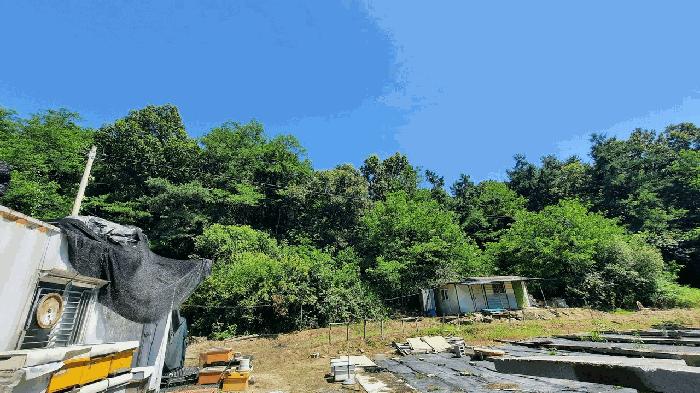 법원경매 2025타경20668 사진2 | 원주시 문막읍 포진리 임야 경매