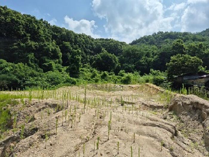 강원 원주시 소초면 흥양리 844 전 사진 4