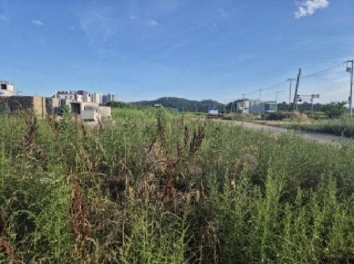 법원경매 2025타경410 사진4 | 포항시 남구 동해면 도구리 23-10 전 경매