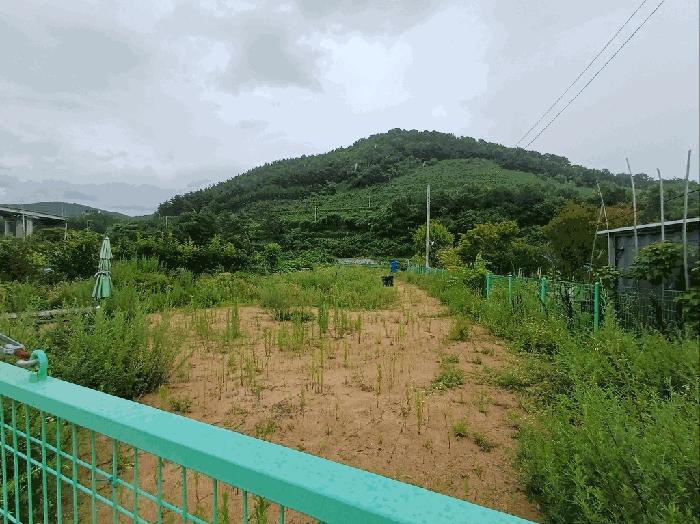 법원경매 2025타경643 사진10 | 부산 기장군 기장읍 내리 362-2 기타 경매