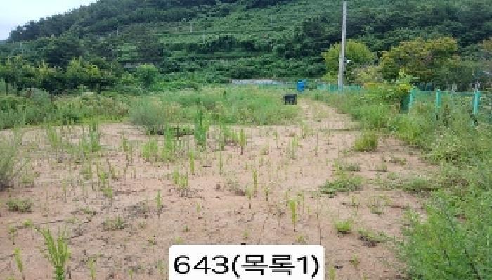 법원경매 2025타경643 사진8 | 부산 기장군 기장읍 내리 362-2 기타 경매